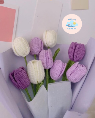 hoa tulip